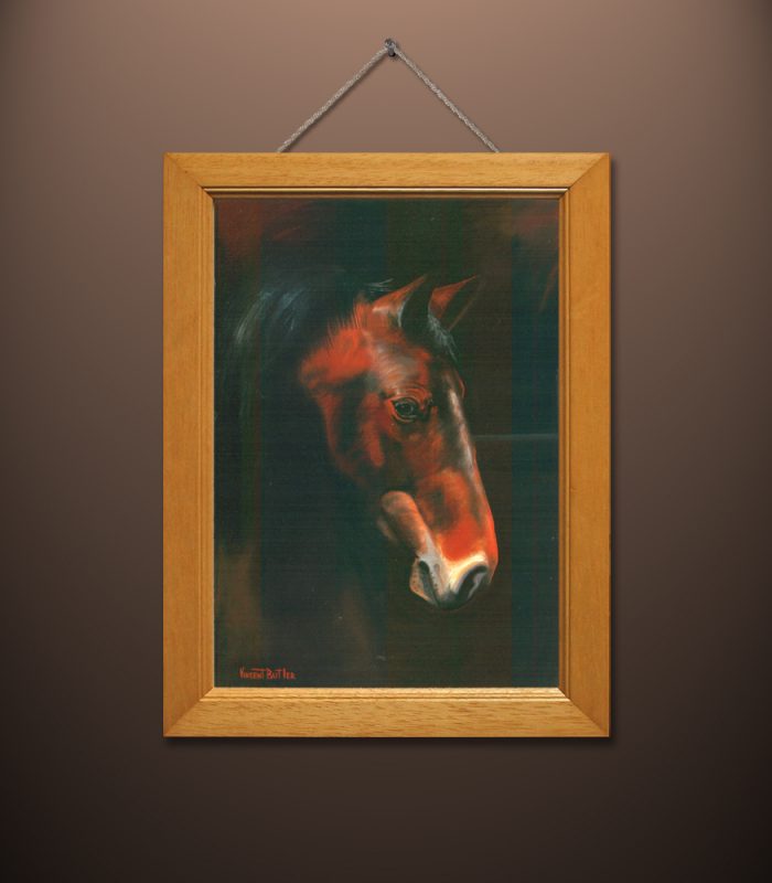 Horse by Vincent Butler Artist Morayshire Scotland